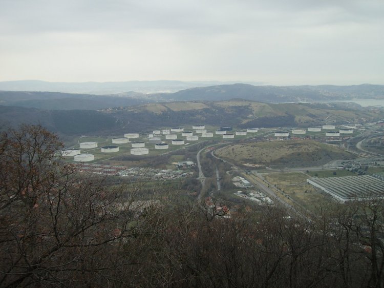 0PICT0135.JPG