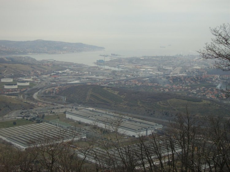 0PICT0136.JPG