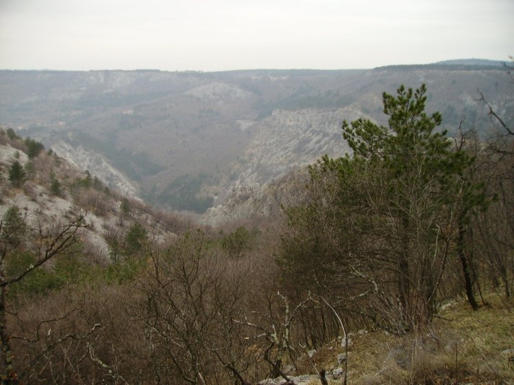 0PICT0158.JPG
