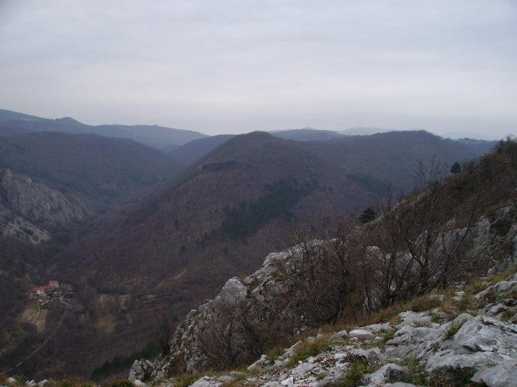 0PICT0162.JPG