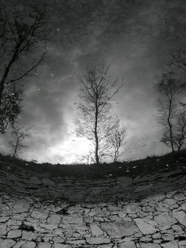 05.jpg