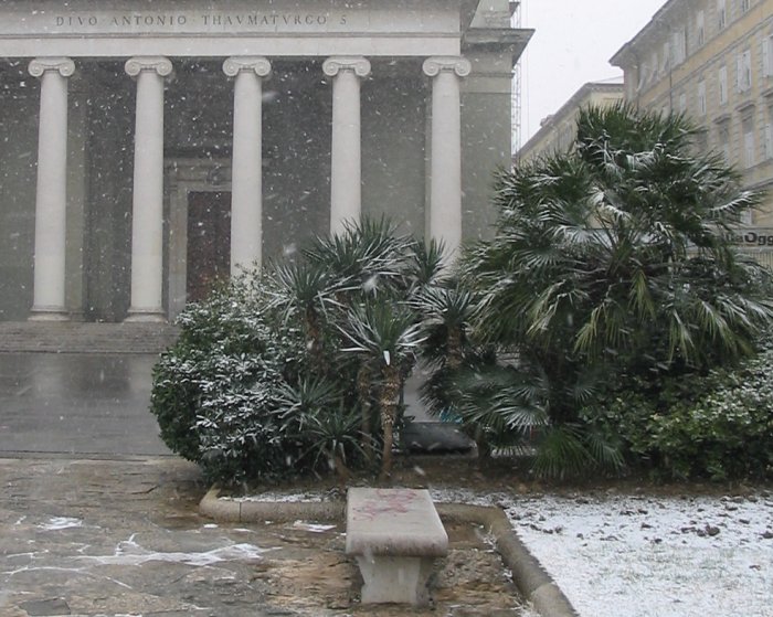 2005-02-21-neve02.jpg